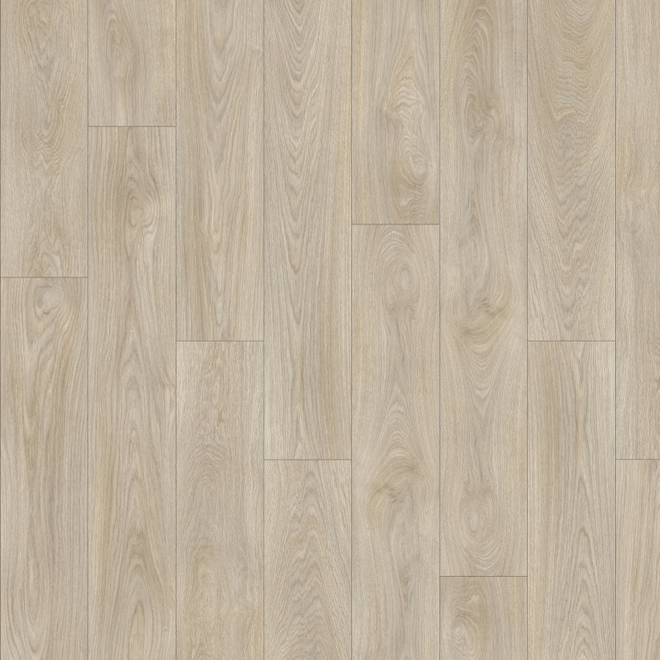 laurel oak 51222